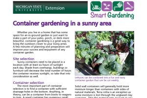 Container gardening in a sunny area tip sheet