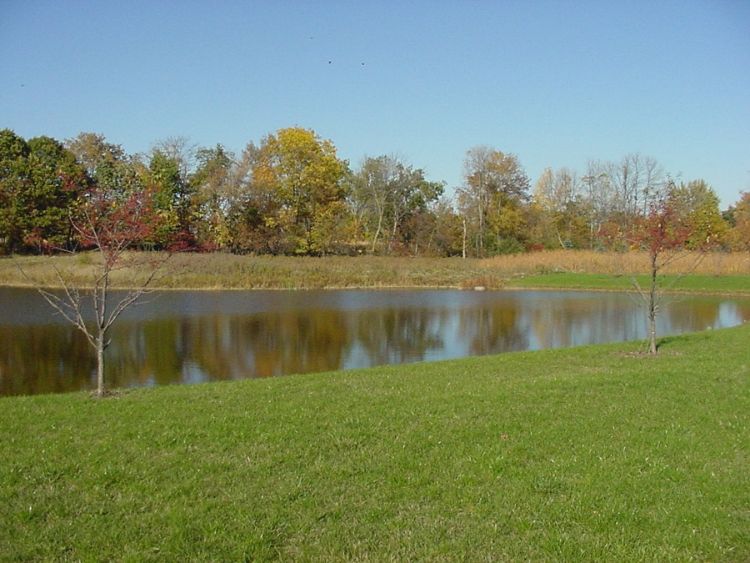 Detention pond photo courtesy of Clinton River Watershed Council