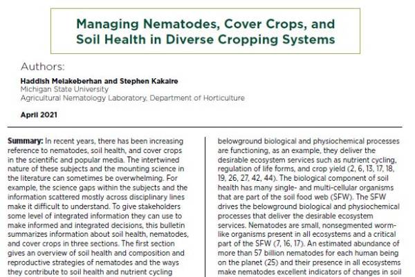 Nematodes - Soil Health Nexus