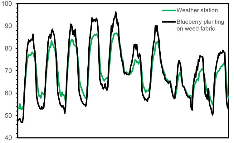 Graph of June 2020 air temperatures.