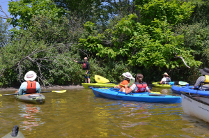 Paddlers! Become an ally in the fight against aquatic invasive species