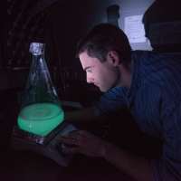 Researcher looking at green liquid in test tube