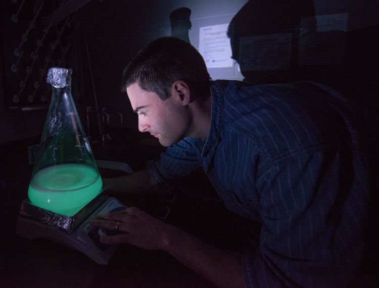 MSU Professor Christopher Waters conducts research in his lab.