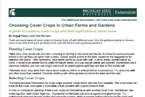 Choosing Cover Crops in Urban Farms and Gardens