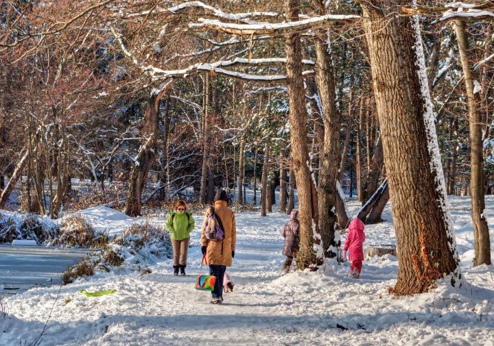Snow Day Physical Activity Ideas Msu Extension