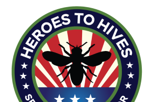 Heroes to Hives program teaches beekeeping to U.S. military veterans