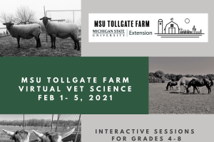 2021 MSU Tollgate Farm 4-H Virtual Vet Science Interactive Week-Long Series