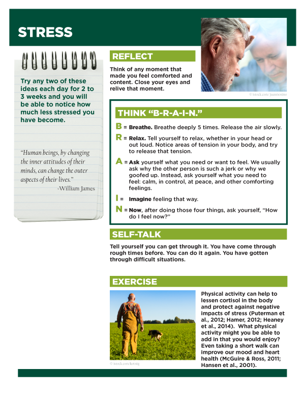 Managing stress for farmers and farm families Managing Farm Stress