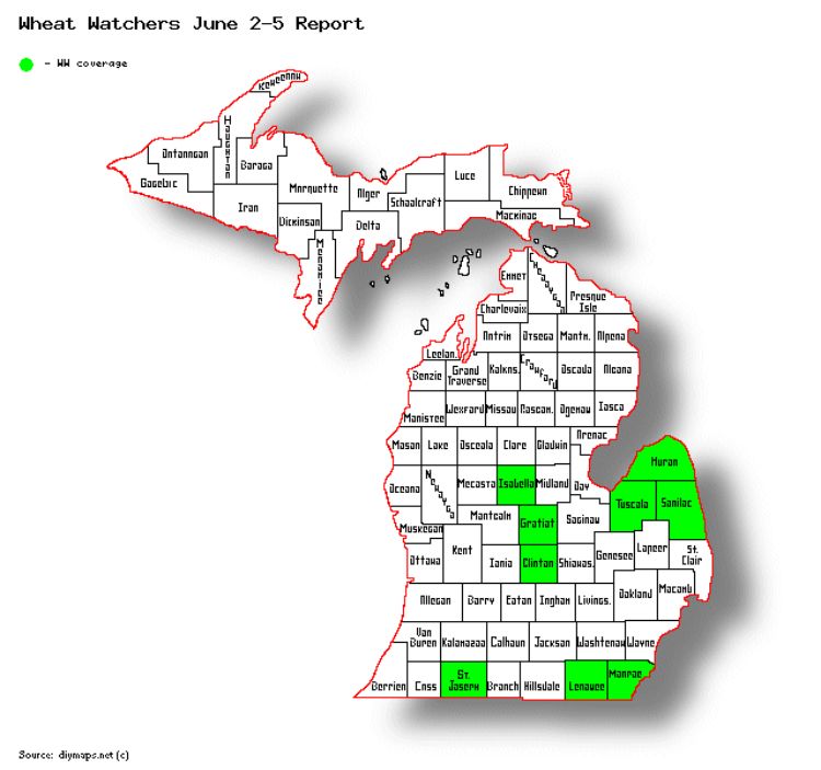 Map of Michigan with some counties highlighted in green