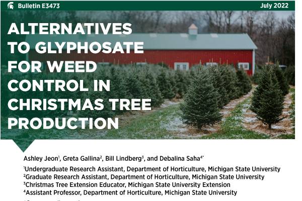 Alternatives to Glyphosate for Weed Control in Christmas Tree ...