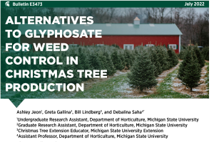 Alternatives to Glyphosate for Weed Control in Christmas Tree Production