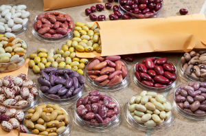 Breeding fast cooking beans as a healthy food option