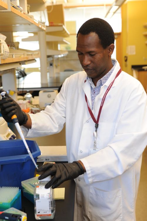 Duncan Gitonga Ithinji, a BHEARD Scholar from Kenya and Washington State University graduate student is working to produce particles that could immunize plants against multiple viruses.