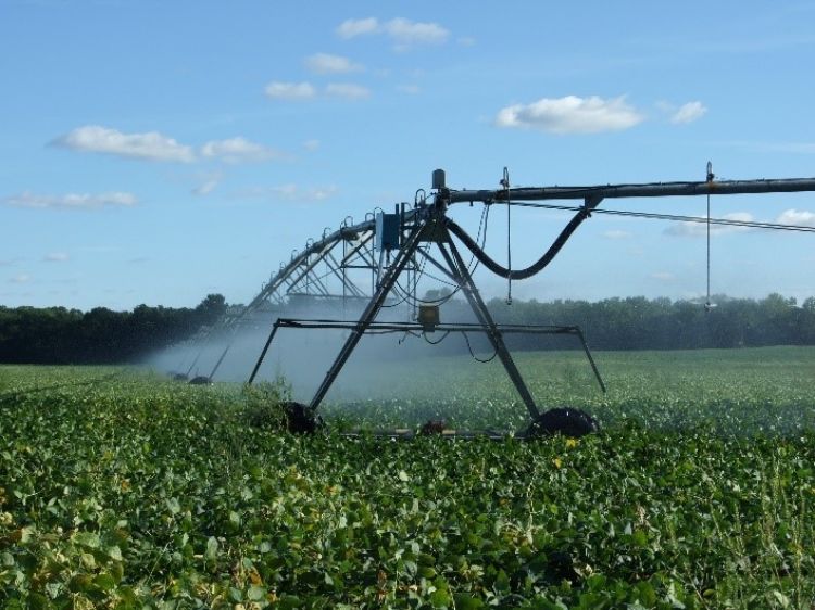 Irrigator in field