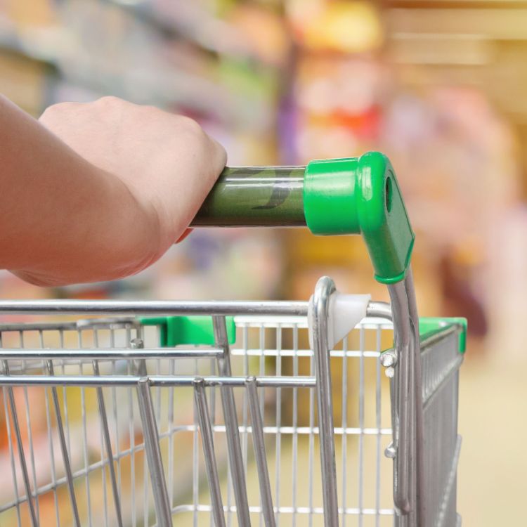 Cropped photo of person pushing shopping cart in grocery store.