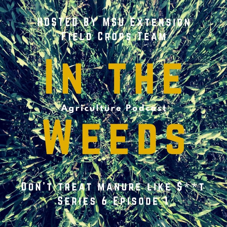 In the Weeds promo graphic