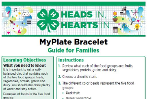 Heads In, Hearts In: MyPlate Bracelet