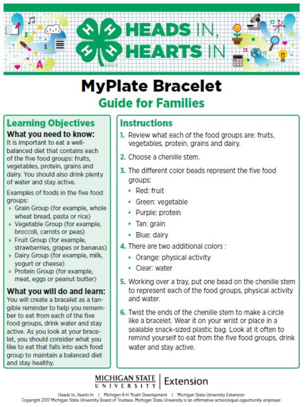 MyPlate Bracelet cover page.