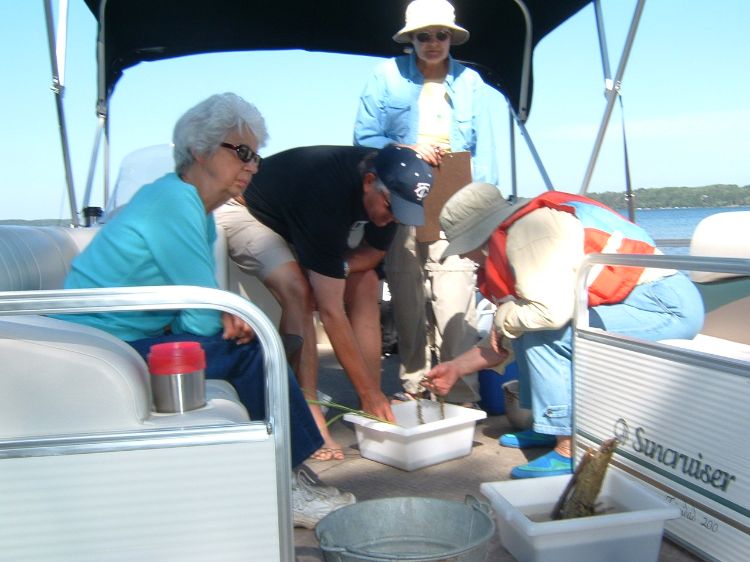 Volunteer citizen scientists, specially trained through the Cooperative Lakes Monitoring Program, identify aquatic plants collected from their lake. Photo credit: Jane Herbert l MSU Extension