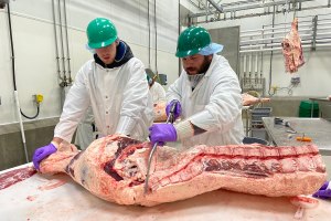 MSU Extension Meat Cutter Training Course Fall 2023 - Apply Now