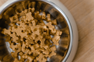 Do consumers care about sustainable pet food?