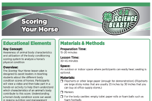 4-H Science Blast Activities: Scoring Your Horse