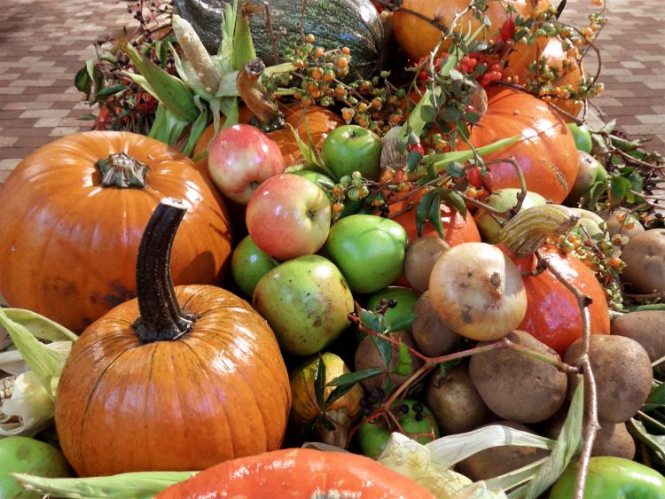 Various pumpkins and fall produce.