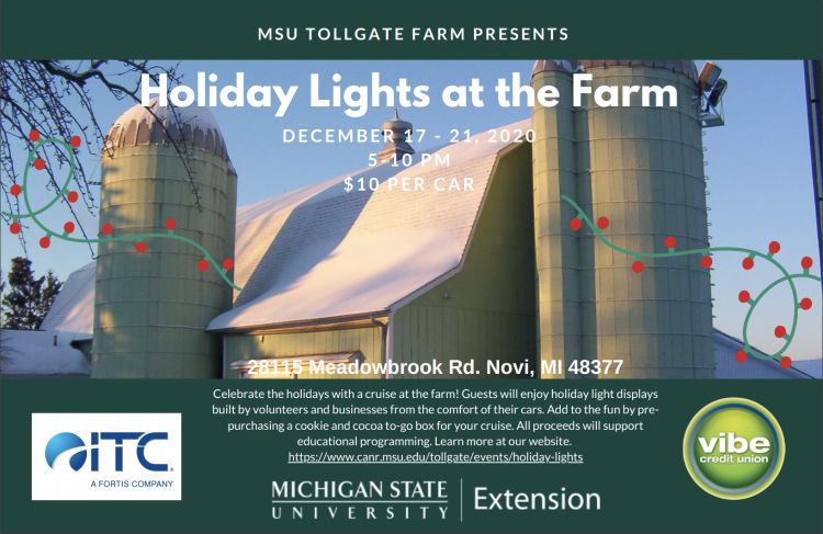 Graphic for Holiday Lights at the Farm