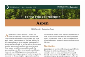 Forest Types of Michigan: Aspen (E3202-3)