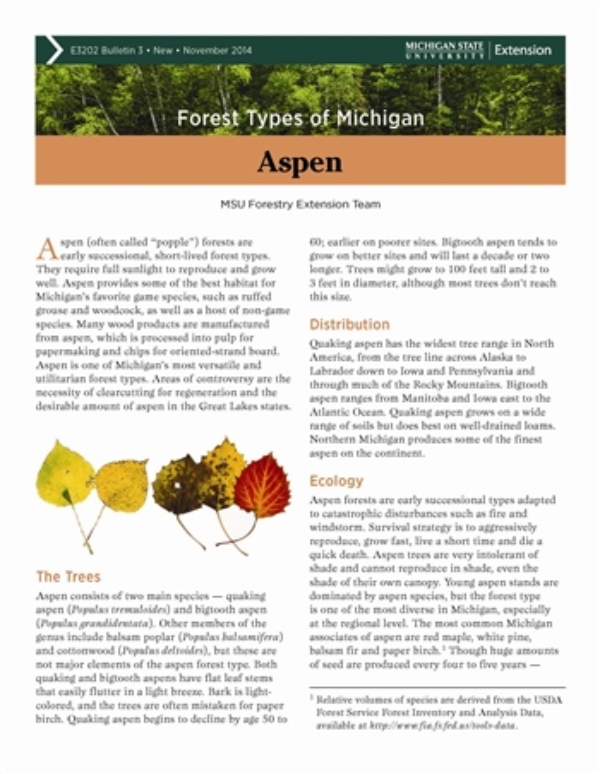 Forest Types Of Michigan Aspen E3202 3 Msu Extension