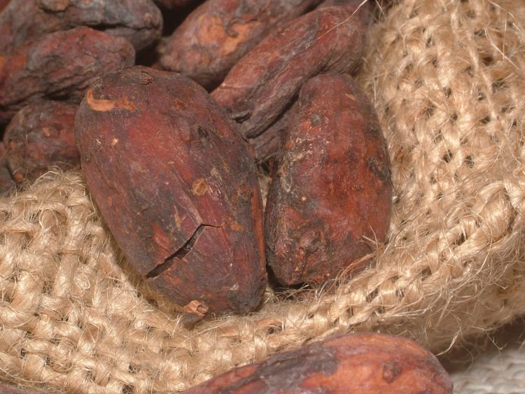 Cacao beans contain a wealth of antioxidants and essential vitamins and minerals.