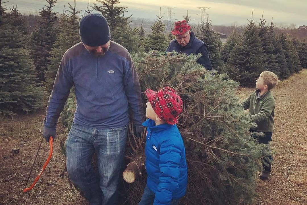 Christmas Tree Harvest and PostHarvest