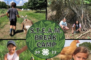 MSU Tollgate Farm 4-H Camp: S.T.E.A.M. Break Camp