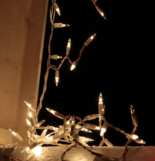 Why did my string of holiday lights go out MSU Extension