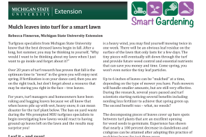 Mulch leaves into turf for a smart lawn
