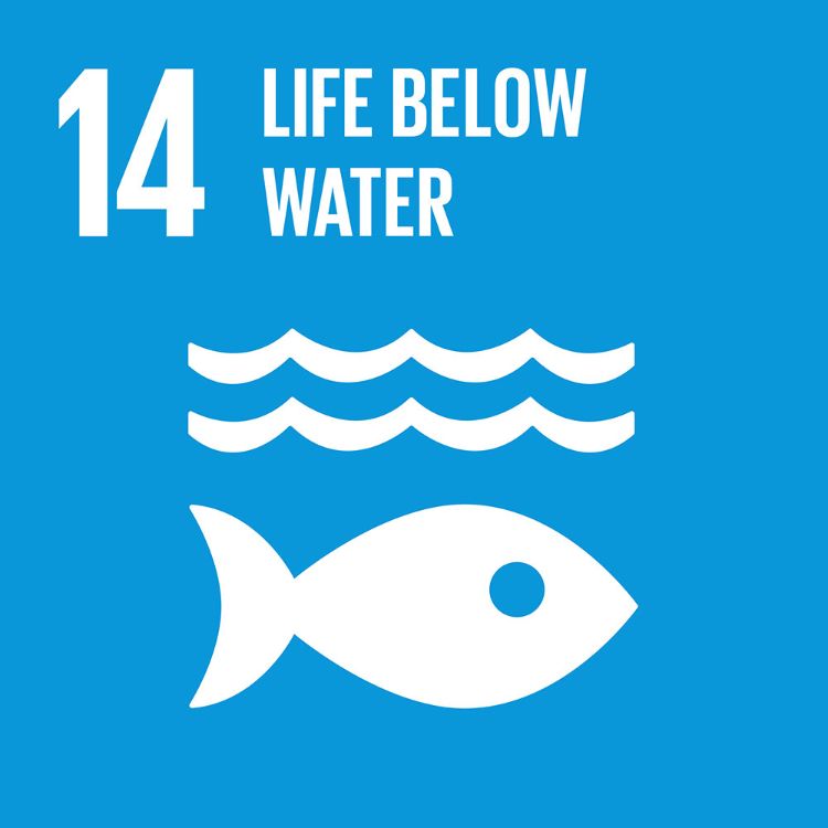 Photo: globalgoals.org