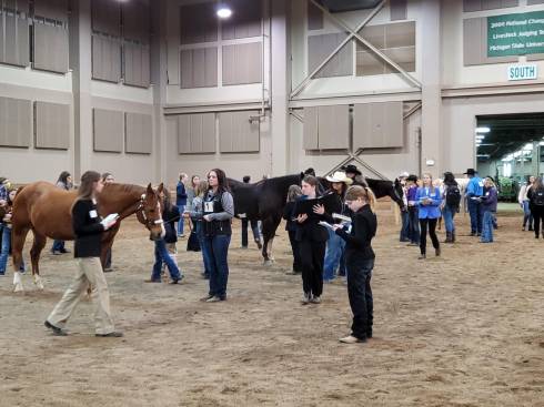 2022 Michigan 4-H/FFA Horse Judging Contest.