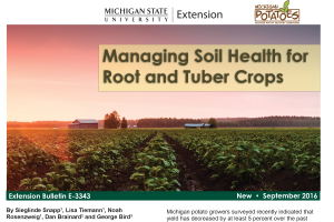 Managing Soil Health for Root and Tuber Crops (E3343)