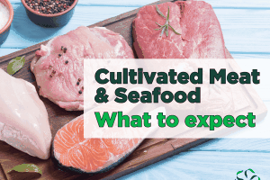 Cultivated Meat & Seafood – What to expect