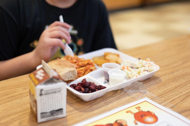 A child enjoys a school lunch