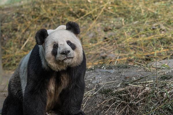 Understanding the life of a park - Center for Systems Integration and