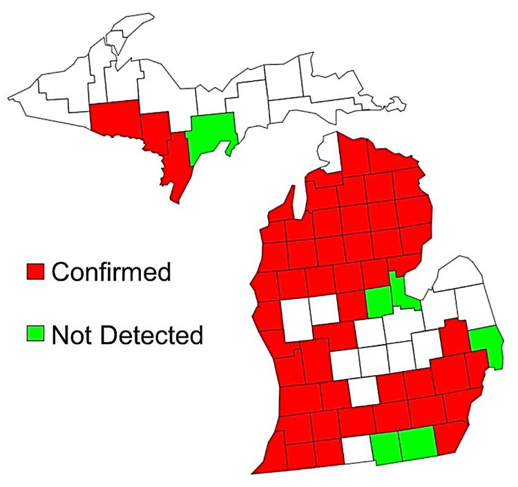 Map of Michigan showing counties with confirmed cased of oak wilt.