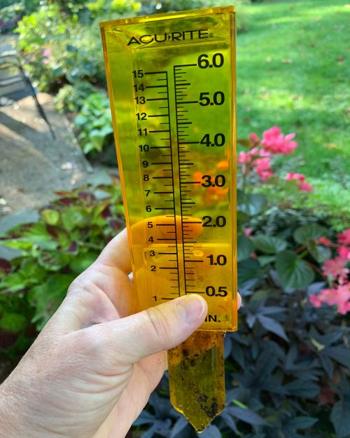 A rain gauge.