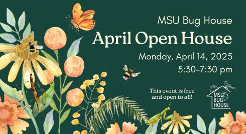 Watercolor insects and flowers surround text that reads 