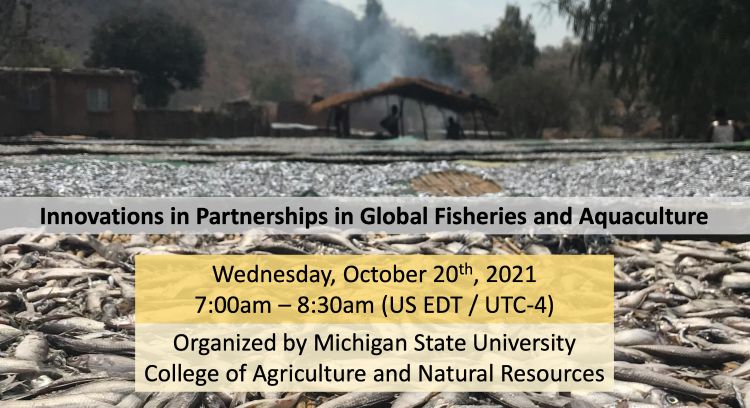 Flyer for Innovations in Partnerships in Global Fisheries and Aquaculture