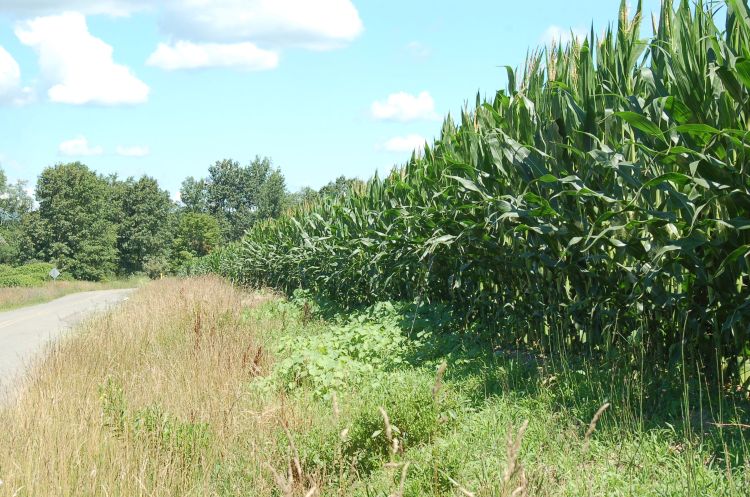 Regulation of agriculture. Photo credit: Kurt Schindler