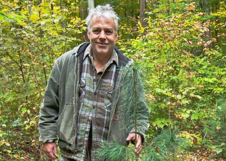 Mike Walters, MSU forest ecologist, is conducting research to find ways to diversity Michigan forests