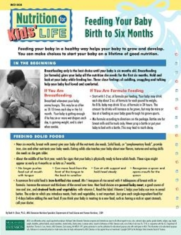 Best food for baby at six months online