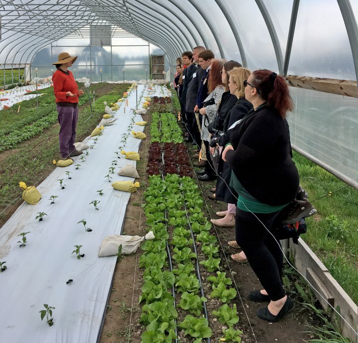 Michigan Borlaug Scholars Explore Michigan State University