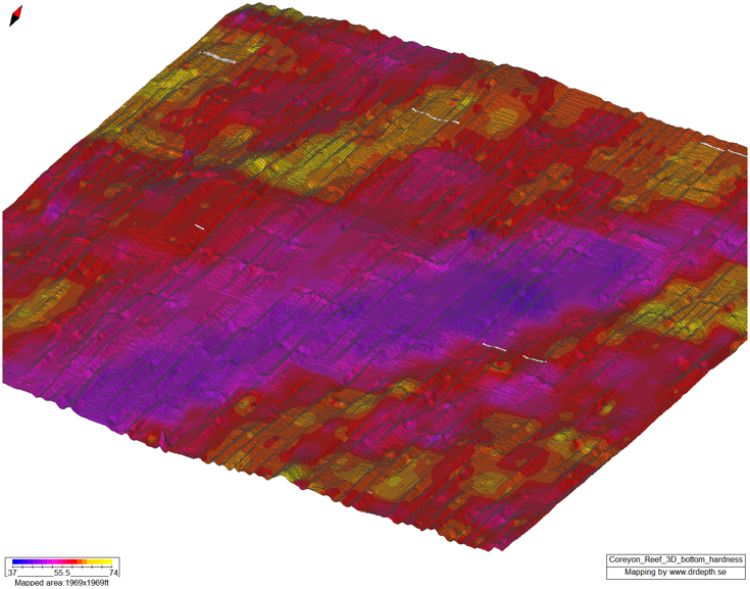 This 3D image is created using a side scan sonar. It shows the relative hardness of the lake bottom. The yellow coloring delineates a harder substrate while the purple coloring shows areas of comparatively soft substrate. Photo: Michigan DNR